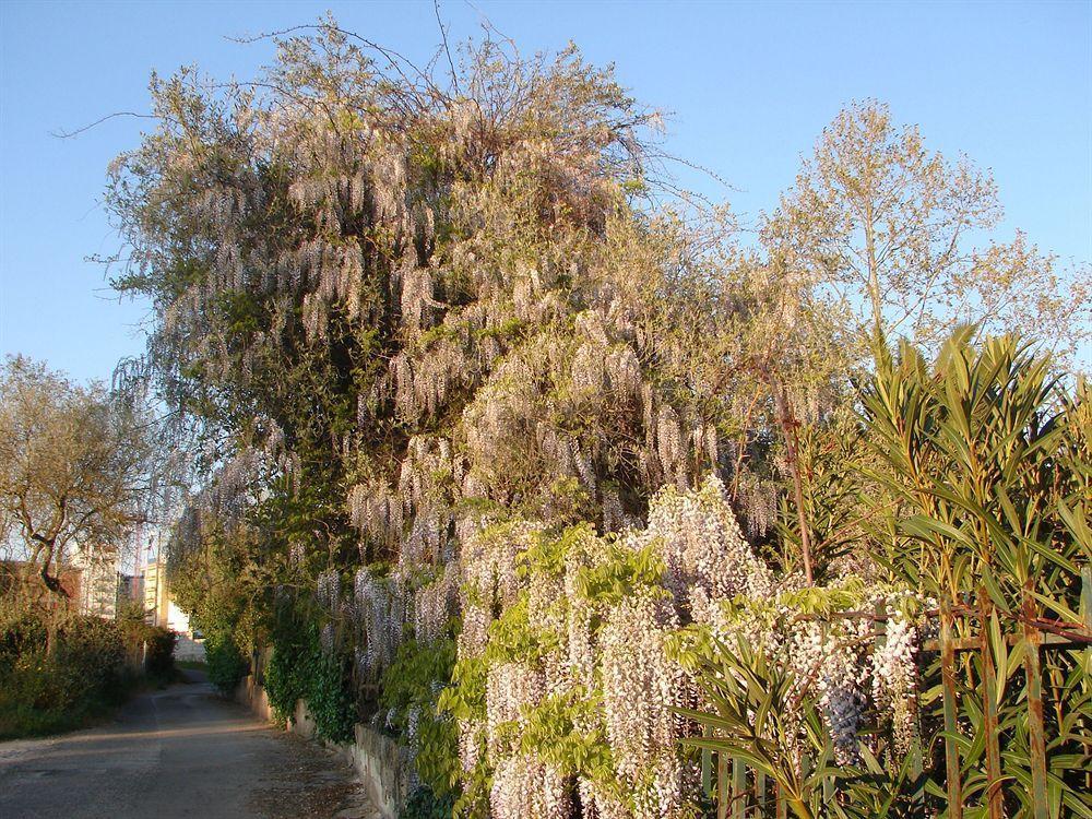 Parco Delle Valli Sassari Ngoại thất bức ảnh